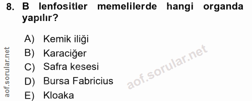 8. soru: B lenfositler memelilerde hangi organda yapılır? A) Kemik iliği B) Karaciğer C) Safra kesesi D) Bursa Fabricius E) Kl…