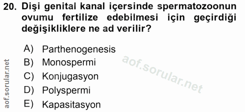 20. soru: Dişi genital kanal içersinde spermatozoonun ovumu fertilize edebilmesi için geçirdiği değişikliklere ne ad verilir? A…