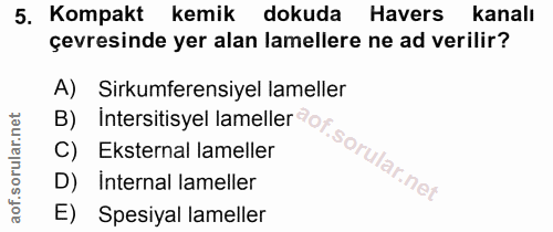 5. soru: Kompakt kemik dokuda Havers kanalı çevresinde yer alan lamellere ne ad verilir? A) Sirkumferensiyel lameller B) inter…