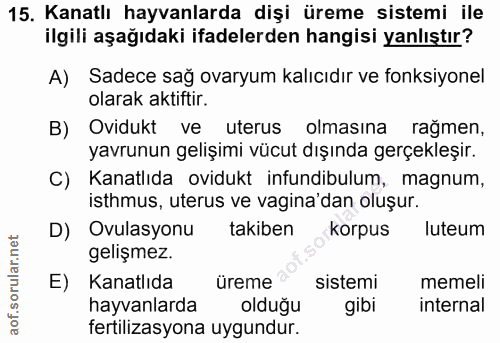 15. soru: Kanatlı hayvanlarda dişi üreme sistemi ile ilgili aşağıdaki ifadelerden hangisi yanlıştır? A) Sadece sağ ovaryum kalı…