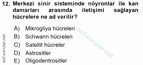 12. soru: Merkezi sinir sisteminde nöyronlar ile kan damarları arasinda iletişimi sağlayan hücrelere ne ad verilir? A) Mikrogli…
