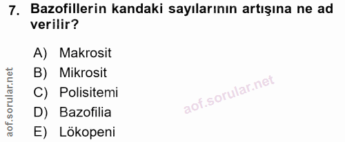 7. soru: Bazofillerin kandaki sayılarının artışına ne ad verilir? A) Makrosit B) Mikrosit C) Polisitemi D) Bazofilia E) Lökopeni