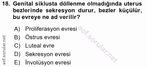 18. soru: Genital siklusta döllenme olmadığında uterus bezlerinde sekresyon durur, bezler küçülür, bu evreye ne ad verilir? A)…