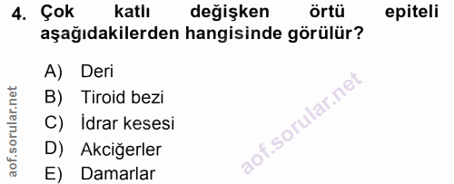 4. soru: Çok katlı değişken örtü epiteli aşağıdakilerden hangisinde görülür? A) Deri B) Tiroid bezi C) Idrar kesesi r.sor D) A…