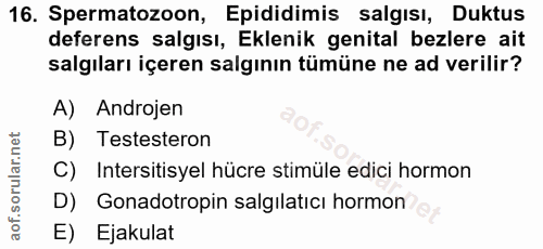 16. soru: Spermatozoon, Epididimis salgısı, Duktus deferens salgısı, Eklenik genital bezlere ait salgıları içeren salgının tümü…