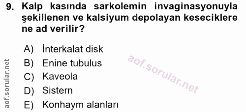 9. soru: Kalp kasında sarkolemin invaginasyonuyla şekillenen ve kalsiyum depolayan keseciklere ne ad verilir? A) Interkalat di…