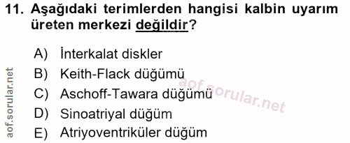 11. soru: Aşağıdaki terimlerden hangisi kalbin uyarım üreten merkezi değildir? A) Interkalat diskler c) Aschoff-Tawara düğümü r…