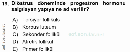 19. soru: Diöstrus döneminde progestron hormonu salgılayan yapıya ne ad verilir? A) Tersiyer folliküls B) Korpus luteum C) Seko…