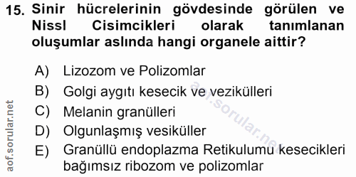 15. soru: Sinir hücrelerinin gövdesinde görülen ve Nissl Cisimcikleri olarak tanımlanan oluşumlar aslında hangi organele aittir…