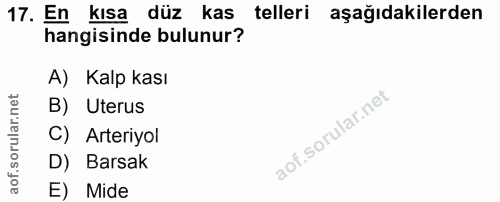 17. soru: En kısa düz kas telleri aşağıdakilerden hangisinde bulunur? A) Kalp kası B) Uterus C) Arteriyol D) Barsak E) Mide