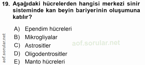 19. soru: Aşağıdaki hücrelerden hangisi merkezi sinir sisteminde kan beyin bariyerinin oluşumuna katılır? A) Ependim hücreleri…