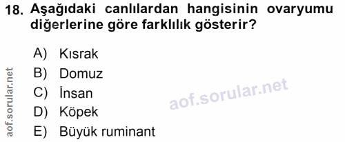18. soru: Aşağıdaki canlılardan hangisinin ovaryumu diğerlerine göre farklılık gösterir? A) Kısrak B) Domuz C) Insan D) Köpek E…