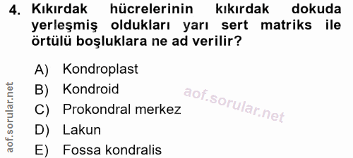 4. soru: Kıkırdak hücrelerinin kıkırdak dokuda yerleşmiş oldukları yarı sert matriks ile örtülü boşluklara ne ad verilir? A) K…