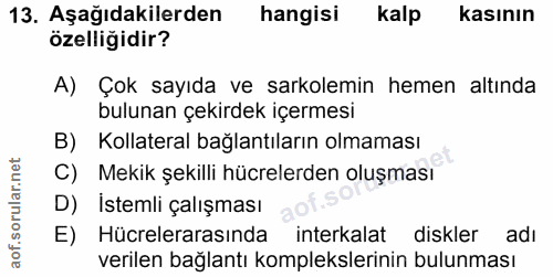 13. soru: Aşağıdakilerden hangisi kalp kasının özelliğidir? A) Çok sayıda ve sarkolemin hemen altında bulunan çekirdek içermesi…