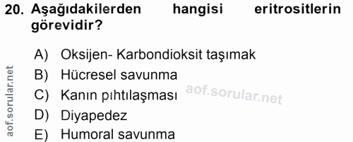 20. soru: Aşağıdakilerden hangisi eritrositlerin görevidir? A) Oksijen- Karbondioksit taşımak B) Hücresel savunma C) Kanın pıht…