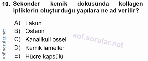 10. soru: Sekonder kemik dokusunda kollagen ipliklerin oluşturduğu yapılara ne ad verilir? A) Lakun B) Osteon C) Kanalikuli oss…