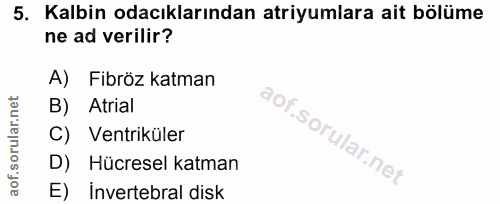 5. soru: Kalbin odacıklarından atiyumlara ait bölüme ne ad verilir? A) Fibröz katman B) Atrial C) Ventriküler D) Hücresel katm…