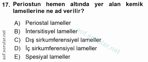 17. soru: Periostun hemen altında yer alan kemik amellerine ne ad verilir? A) Periostal lameller B) Intersitisyel lameller C) D…