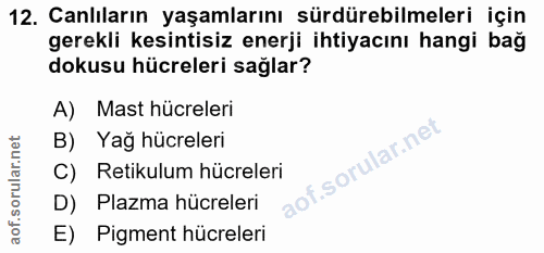 12. soru: Canlıların yaşamlarını sürdürebilmeleri için gerekli kesintisiz enerji ihtiyacını hangi bağ dokusu hücreleri sağlar?…