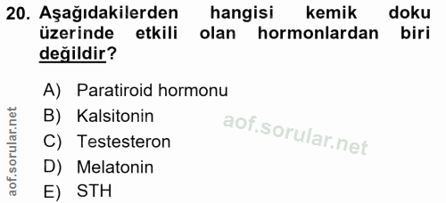 20. soru: Aşağıdakilerden hangisi kemik doku üzerinde etkili olan hormonlardan biri değildir? A) Paratiroid hormonu B) Kalsiton…