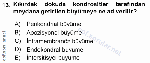 13. soru: Kıkırdak dokuda kondrositler tarafından meydana getirilen büyümeye ne ad verilir? A) Perikondrial büyüme C) Intramemb…