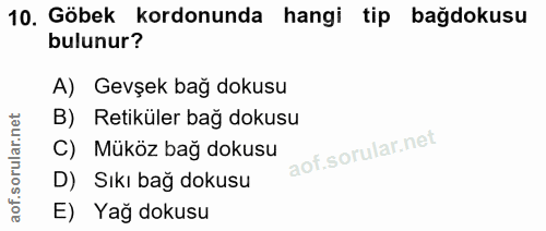 10. soru: Göbek kordonunda hangi tip bağdokusu bulunur? A) Gevşek bağ dokusu B) Retiküler bağ dokusu C) Müköz bağ dokusu D) Sık…