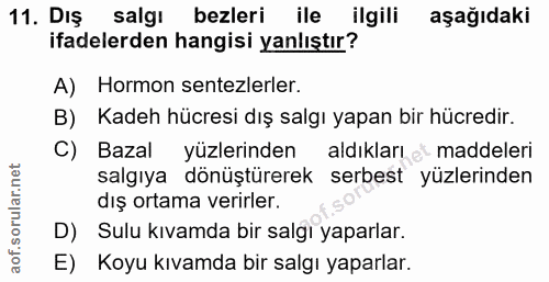 11. soru: DIŞ salgi bezleri ile ilgili aşağıdaki ifadelerden hangisi yanlıştır? A) Hormon sentezlerler. B) Kadeh hücresi dış sa…