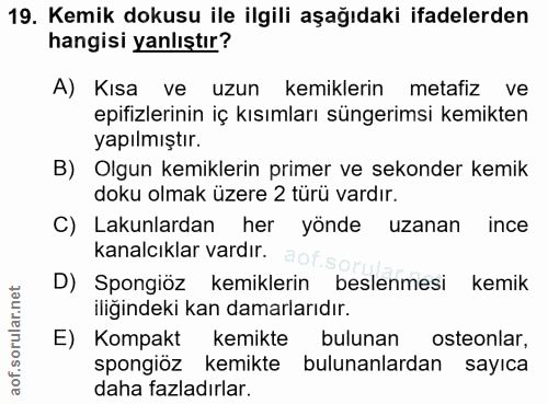19. soru: Kemik dokusu ile ilgili aşağıdaki ifadelerden hangisi yanlıştır? A) Kısa ve uzun kemiklerin metafiz ve epifizlerinin…
