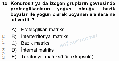 14. soru: Kondrosit ya da izogen grupların çevresinde proteoglikanların yoğun olduğu, bazik boyalar ile yoğun olarak boyanan al…