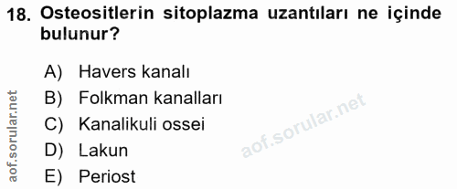 18. soru: Osteositlerin sitoplazma uzantıları ne içinde bulunur? A) Havers kanalı B) Folkman kanalları C) Kanalikuli ossei D) L…
