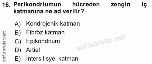 16. soru: Perikondriumun hücreden zengin iç katmanına ne ad verilir? A) Kondrojenik katman B) Fibröz katman C) Epikondrium D) A…