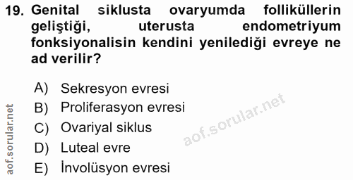 19. soru: Genital siklusta ovaryumda folliküllerin geliştiği, uterusta endometriyum fonksiyonalisin kendini yenilediği evreye n…