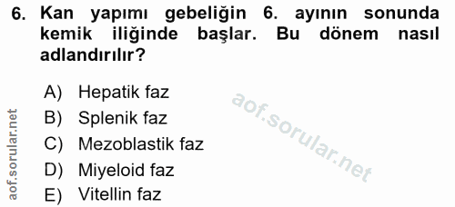 6. soru: Kan yapımı gebeliğin 6. ayının sonunda kemik iliğinde başlar. Bu dönem nasıl adlandırılır? A) Hepatik faz B) Splenik…