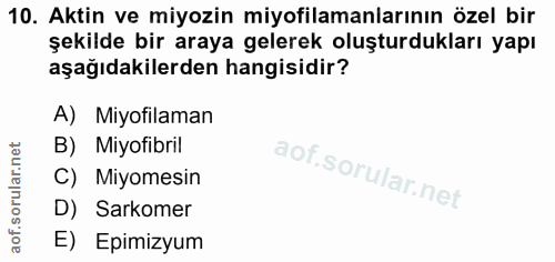 10. soru: Aktin ve miyozin miyofilamanlarının özel bir şekilde bir araya gelerek oluşturdukları yapı aşağıdakilerden hangisidir…