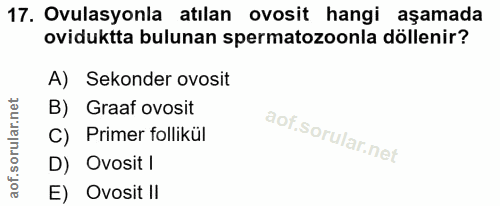 17. soru: Ovulasyonla atılan ovosit hangi aşamada oviduktta bulunan spermatozoonla döllenir? A) Sekonder ovosit B) Graaf ovosit…