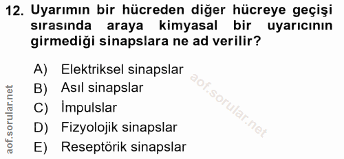 12. soru: Uyarımın bir hücreden diğer hücreye geçişi sırasında araya kimyasal bir uyarıcının girmediği sinapslara ne ad verilir…