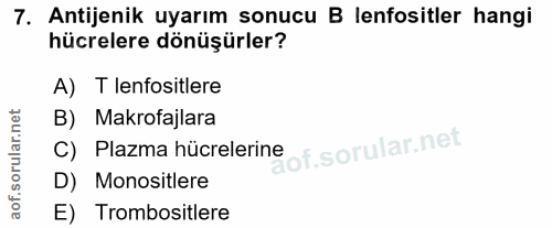 7. soru: Antijenik uyarım sonucu B lenfositler hangi hücrelere dönüşürler? A) T lenfositlere B) Makrofajlara iof. C) Plazma hü…