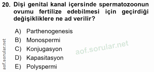 20. soru: Dişi genital kanal içersinde spermatozoonun ovumu fertilize edebilmesi için geçirdiği değişikliklere ne ad verilir? A…