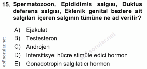 15. soru: Spermatozoon, Epididimis salgısı, Duktus deferens salgısı, Eklenik genital bezlere ait salgıları içeren salgının tümü…