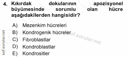 4. soru: Kıkırdak dokularının apozisyonel büyümesinde sorumlu olan hücre aşağıdakilerden hangisidir? A) Mezenkim hücreleri B)…
