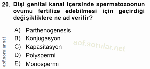 20. soru: Dişi genital kanal içersinde spermatozoonun ovumu fertilize edebilmesi için geçirdiği değişikliklere ne ad verilir? A…