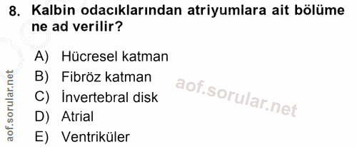 8. soru: Kalbin odacıklarından atriyumlara ait bölüme ne ad verilir? A) Hücresel katman B) Fibröz katman C) Invertebral disk D…