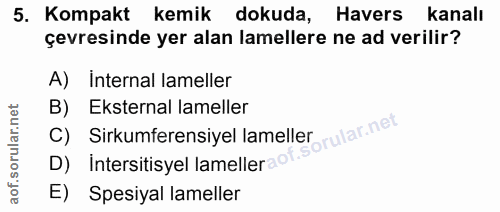 5. soru: Kompakt kemik dokuda, Havers kanalı çevresinde yer alan amellere ne ad verilir? A) İnternal lameller B) Eksternal lam…