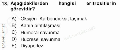 18. soru: Aşağıdakilerden hangisi eritrositlerin görevidir? A) Oksijen- Karbondioksit taşımak B) Kanın pıhtılaşması Humoral sav…