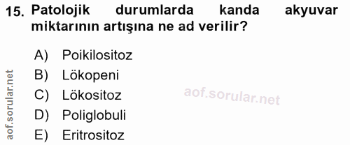 15. soru: Patolojik durumlarda kanda akyuvar miktarının artışına ne ad verilir? A) Poikilositoz B) Lökopeni C) Lökositoz D) Pol…