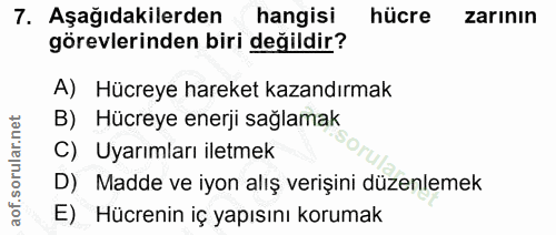 7. soru: Aşağıdakilerden hangisi hücre zarının görevlerinden biri değildir? A) Hücreye hareket kazandırmak B) Hücreye enerji s…