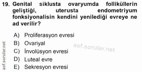 19. soru: Genital siklusta ovaryumda folliküllerin geliştiği, uterusta endometriyum fonksiyonalisin kendini yenilediği evreye n…
