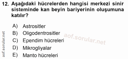 12. soru: Aşağıdaki hücrelerden hangisi merkezi sinir sisteminde kan beyin bariyerinin oluşumuna katılır? A) Astrositler B) Oli…
