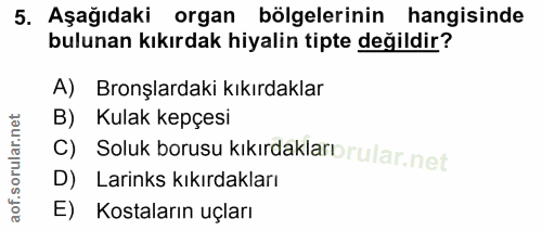 5. soru: Aşağıdaki organ bölgelerinin hangisinde bulunan kıkırdak hiyalin tipte değildir? A) Bronşlardaki kıkırdaklar B) Kulak…