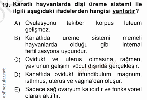 19. soru: Kanatlı hayvanlarda dişi üreme sistemi ile ilgili aşağıdaki ifadelerden hangisi yanlıştır? A) Ovulasyonu takiben korp…